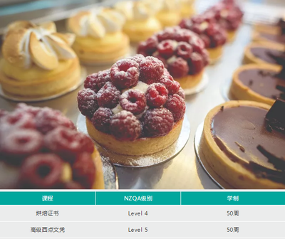 留學新西蘭不可錯過的短缺職業 餐飲管理——聚焦新西蘭北岸酒店管理學院